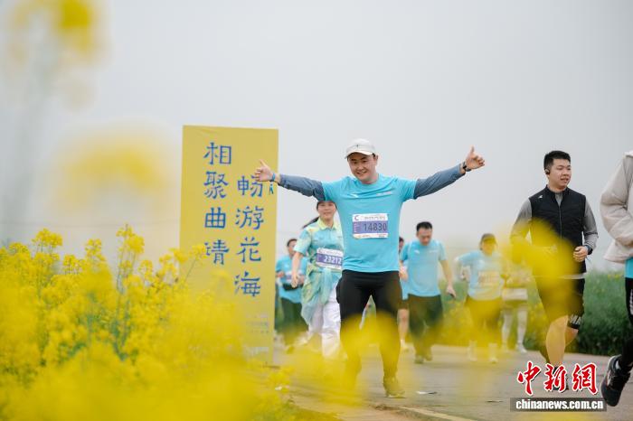 2026曲靖罗平花海马拉松吸引两万跑者畅游金色花